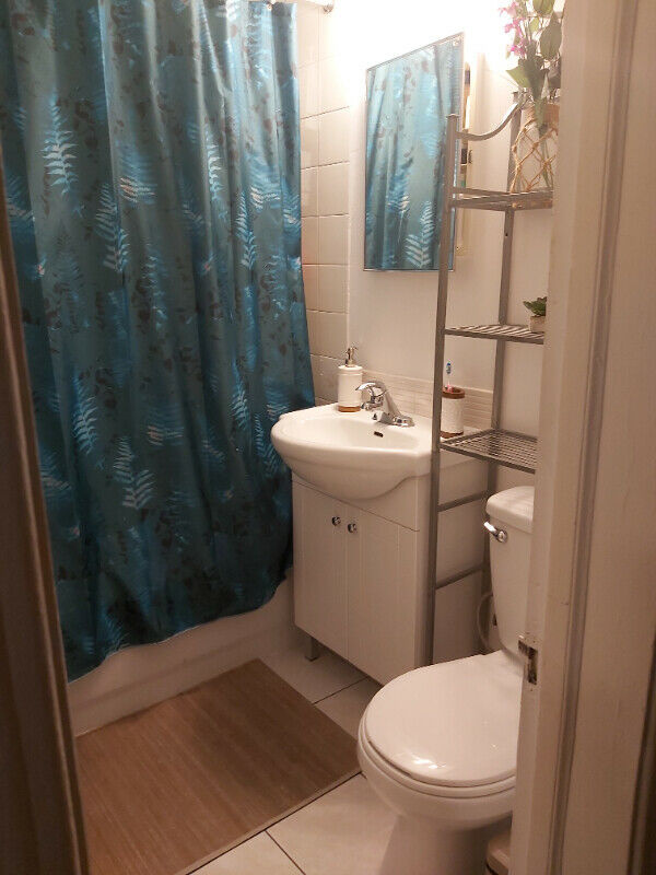 CLANRANALD GRAND 4 1/2 / RENOVATED | 2940955
