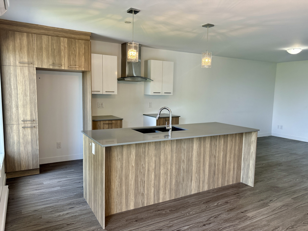 Grand 4 1/2 Disponible Maintenant | 2940985