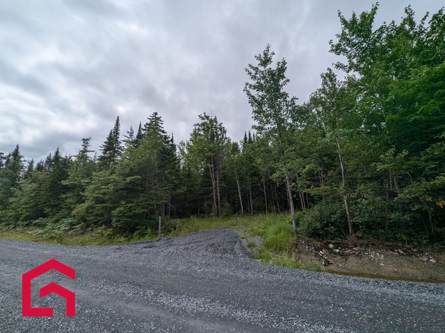 Terrain Résidentiel Stratford À Vendre | 2941475