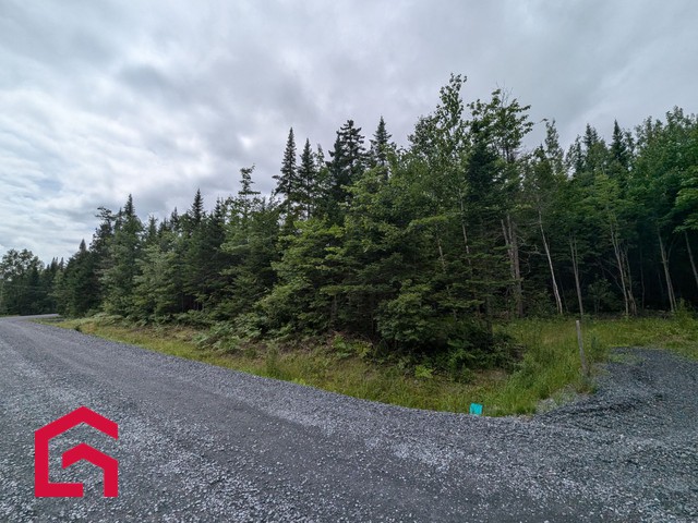 Terrain Résidentiel Stratford À Vendre | 2941475