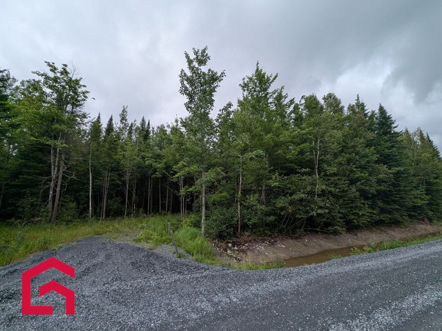 Terrain Résidentiel Stratford À Vendre | 2941475