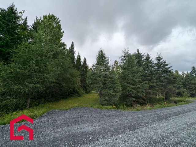 Terrain Résidentiel Stratford À Vendre | 2941476