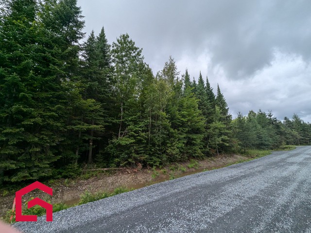 Terrain Résidentiel Stratford À Vendre | 2941476