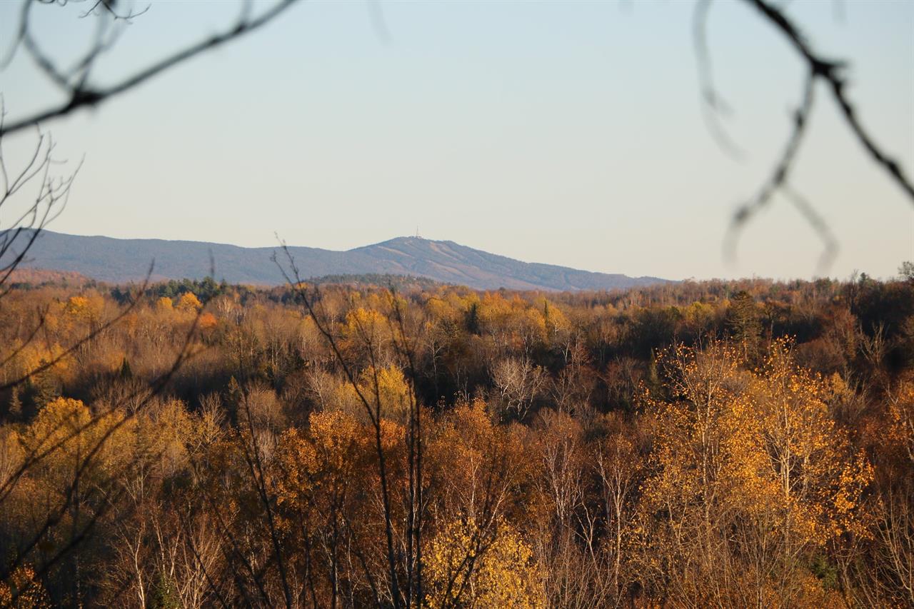 Terrain Vacant Rivière-Rouge À Vendre | 2941483