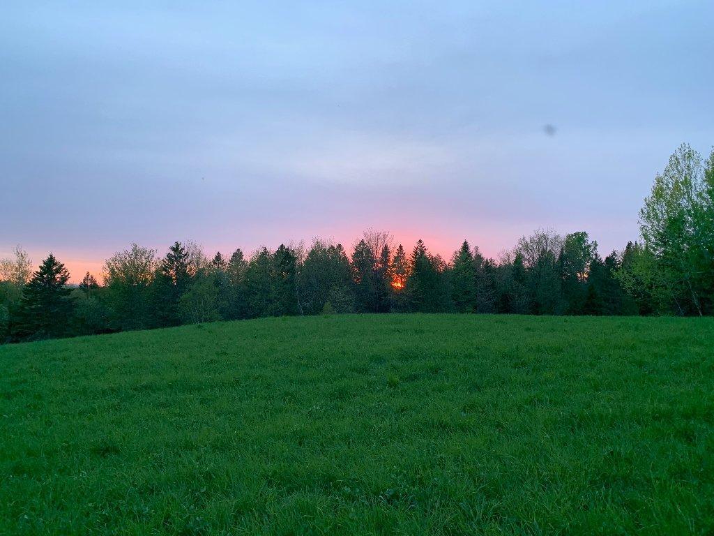 Terre agricole 44 acres en Estrie | 2941827