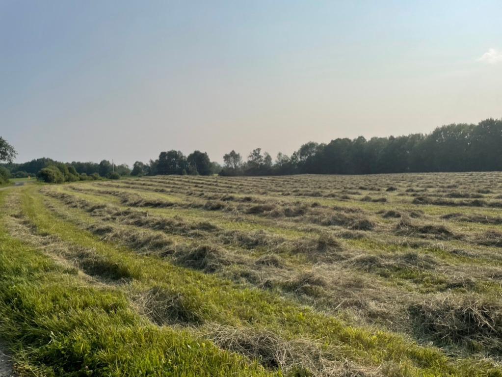 Terre agricole 44 acres en Estrie | 2941827