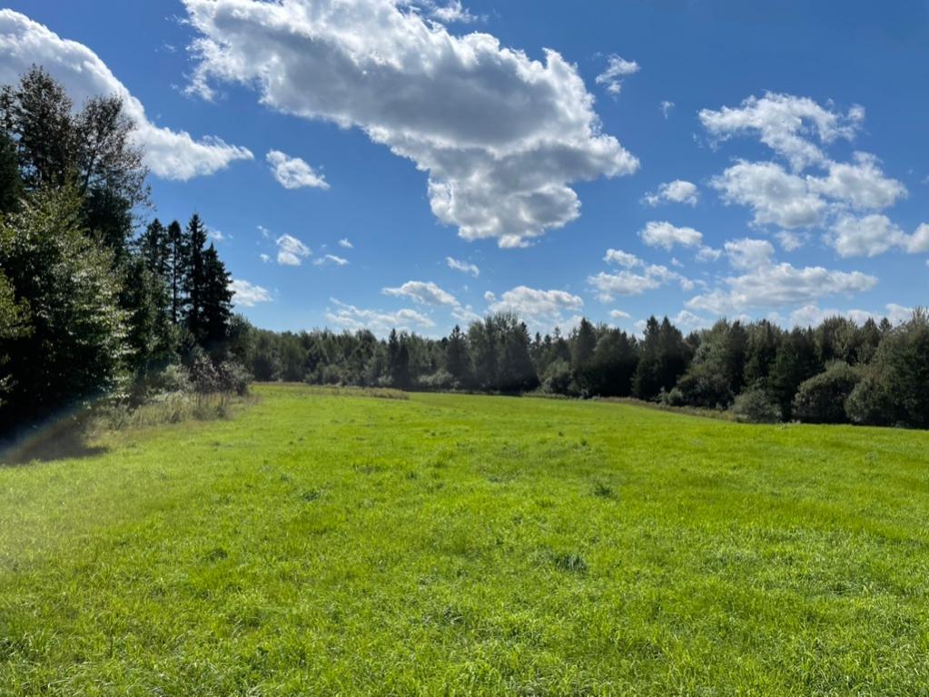 Terre agricole 44 acres en Estrie | 2941827
