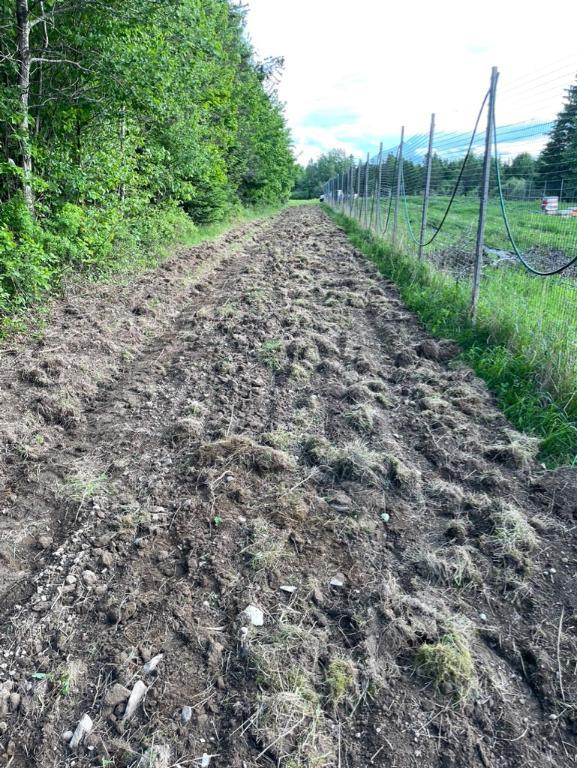 Terre agricole 44 acres en Estrie | 2941827