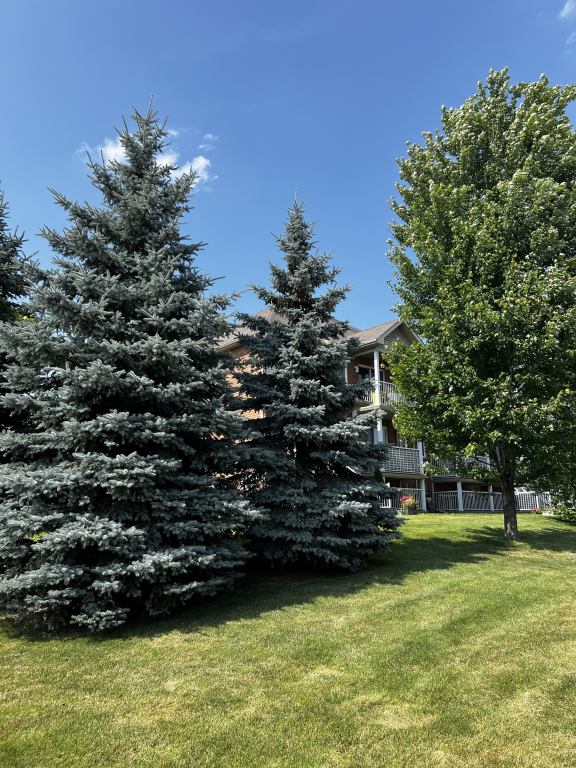 Condo De Luxe 1250 PI CARRÉ | 2941895