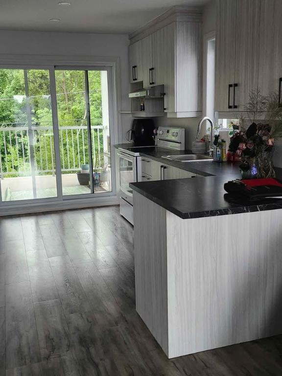 4 1/2 moderne à louer – Brownsburg-Chatham | 2942399