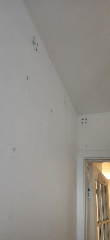 GR.41/2,demi-sous-sol,bien Eclaire | 2942463