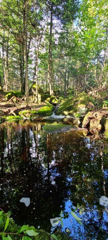 Grand terrain à vendre en montagne - Votre havre de paix en nature à 1h30 de Montréal, à St-Damien, dans Lanaudière | 2942852