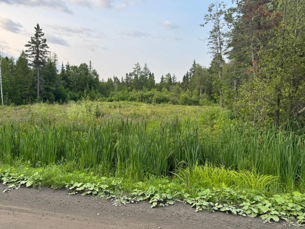 Terrain Résidentiel prêt à construire à vendre | 2942853