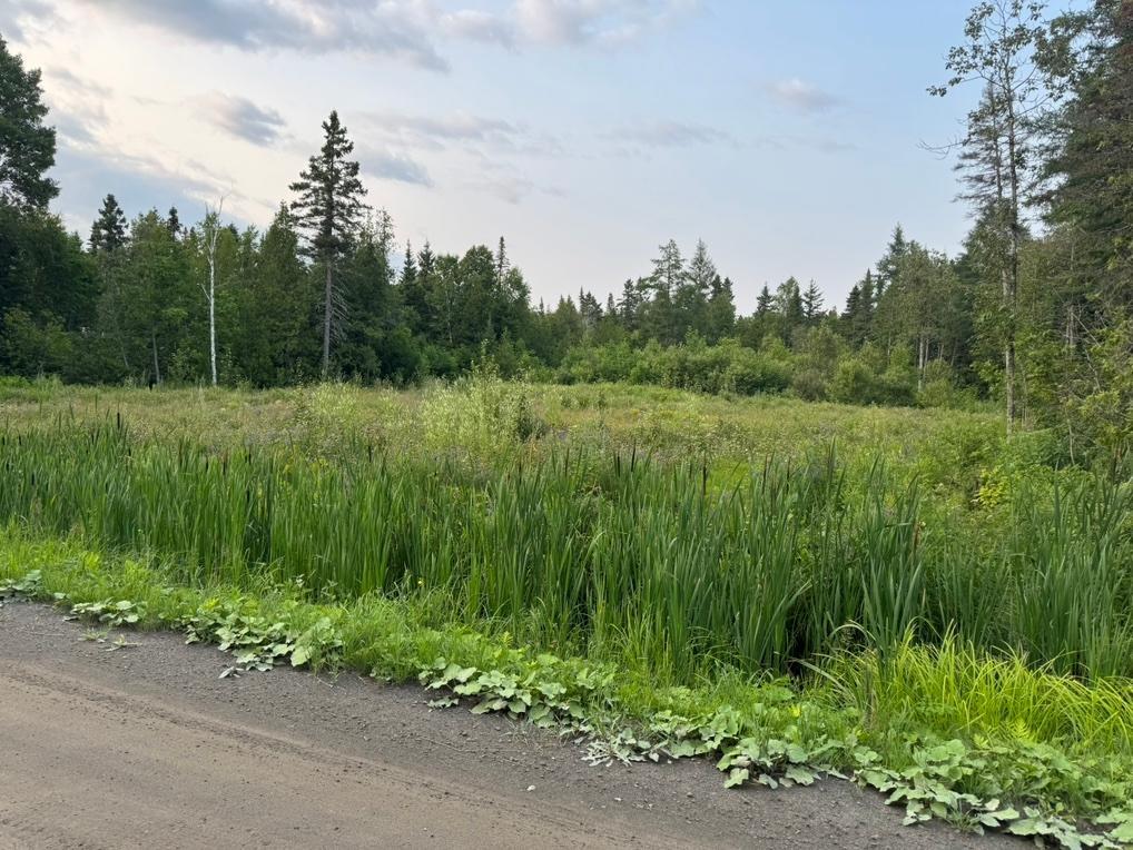Terrain Résidentiel prêt à construire à vendre | 2942853