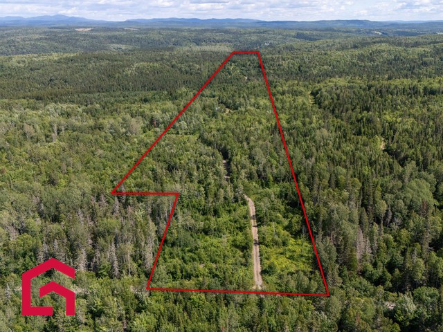 Terrain Résidentiel Matane À Vendre | 2942940