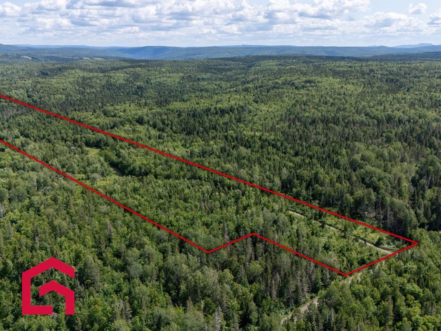 Terrain Résidentiel Matane À Vendre | 2942940