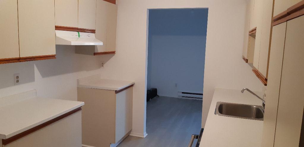 GRAND 3-1/2 À LOUER - POINTE-AUX-TREMBLES | 2943830