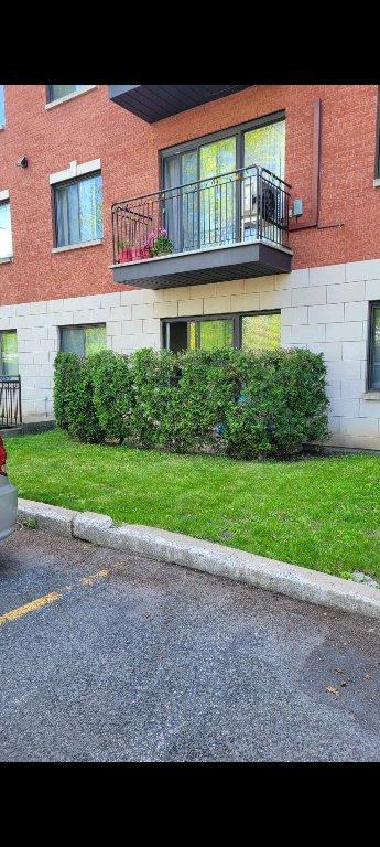 Condominium Grand 3 1/2 à louer | 2943835