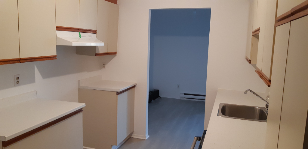 GRAND 3-1/2 À LOUER - POINTE-AUX-TREMBLE | 2943917