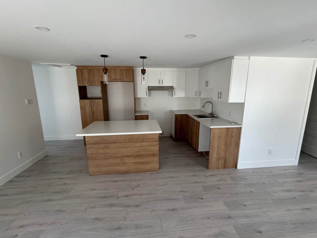 Grand 4 ½ Neuf Pointe-aux-Trembles | 2945067