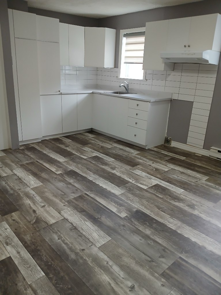 Logement 5.5, 3 Chambres A Louer | 2946035