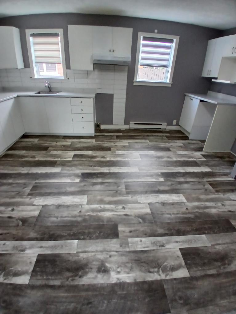 Logement 5.5, 3 Chambres A Louer | 2946035