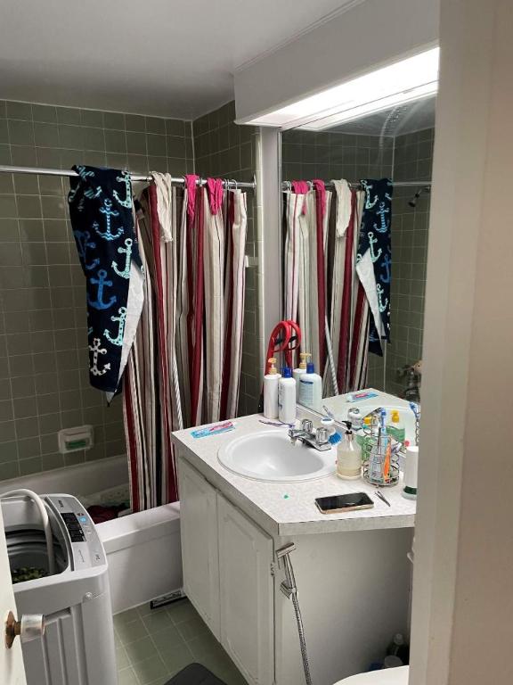 1 CH - 1 SDB - Montréal - $1,495 /mo | 2946511