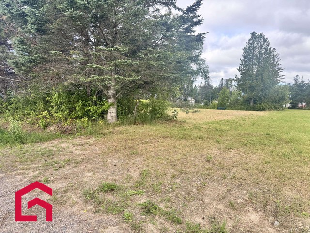 Terrain Résidentiel Lac-Saint-Paul À Vendre | 2946640