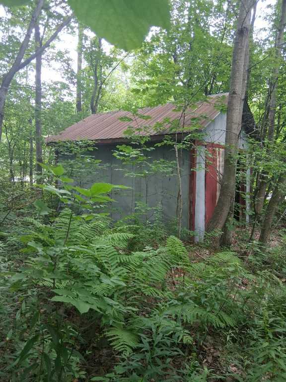 Petite terre a bois a vendre (érablière) | 2946952
