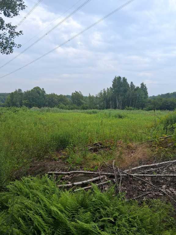 Petite terre a bois a vendre (érablière) | 2946952