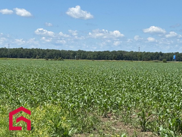 Terrain Résidentiel Saint-Zotique À Vendre | 2946977