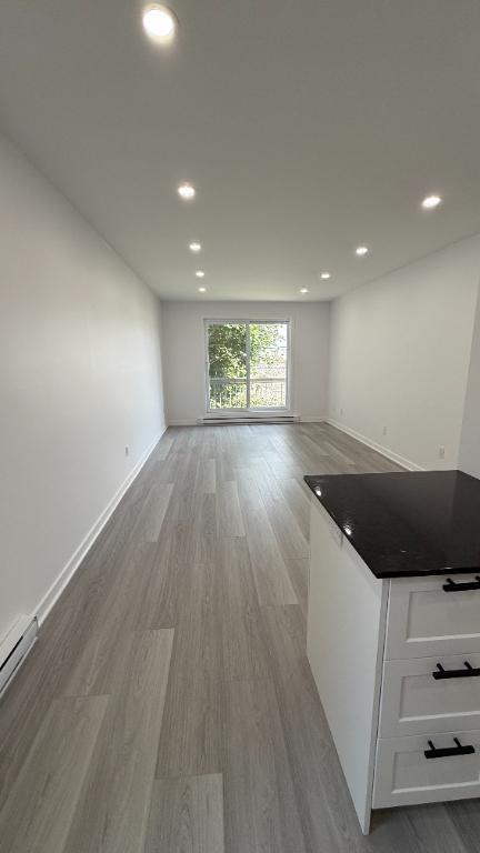À louer – Magnifique condo 4 ½ entièrement rénové – 1050 pi² | 2948171