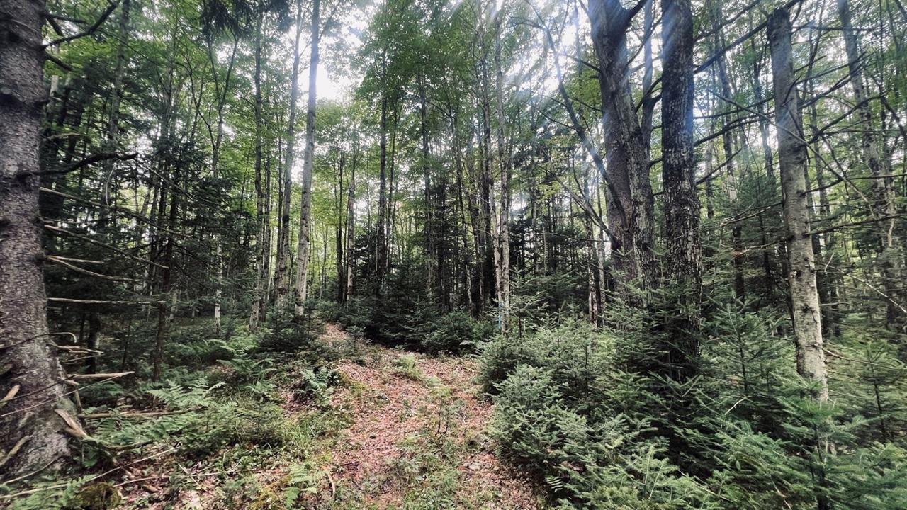 Terrain Résidentiel Sainte-Anne-de-la-Rochelle À Vendre | 2948237