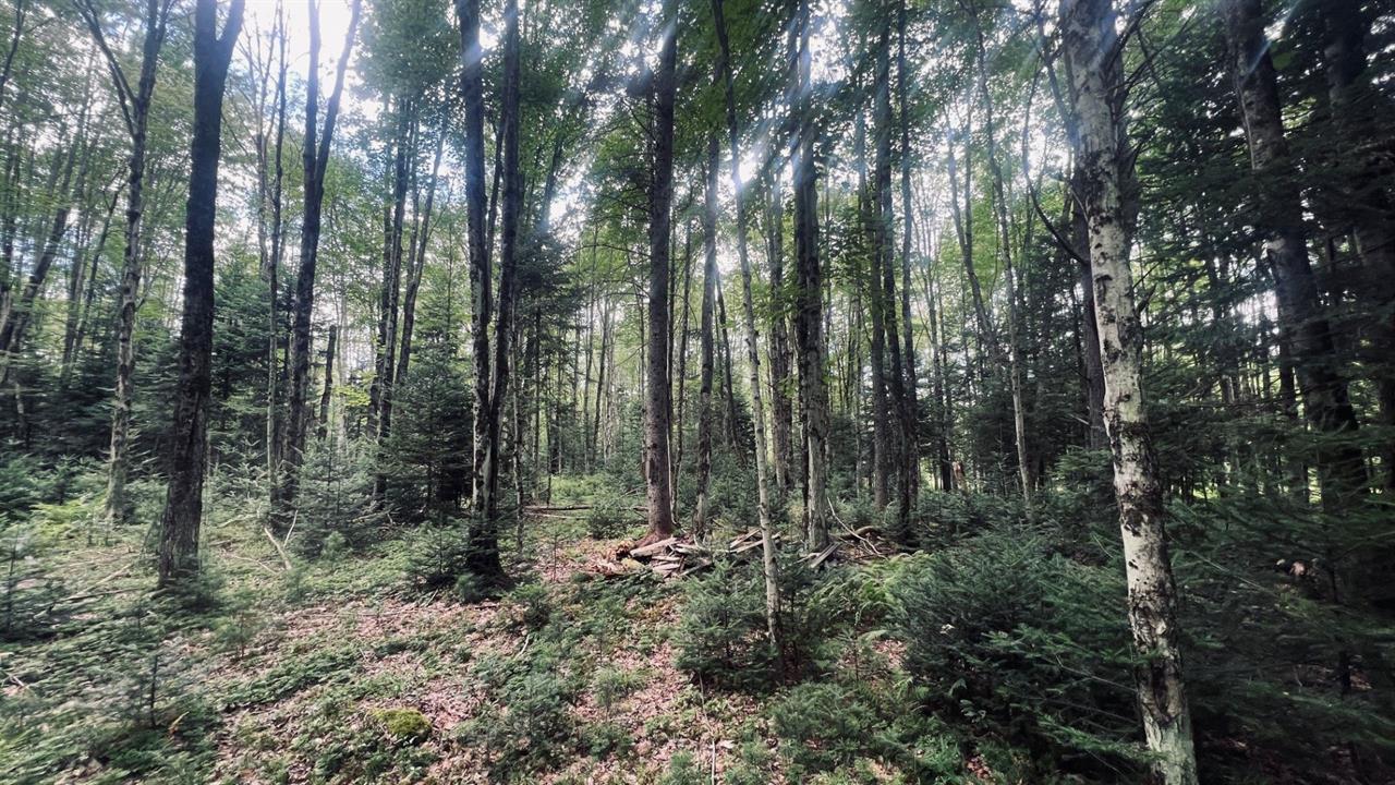 Terrain Résidentiel Sainte-Anne-de-la-Rochelle À Vendre | 2948237