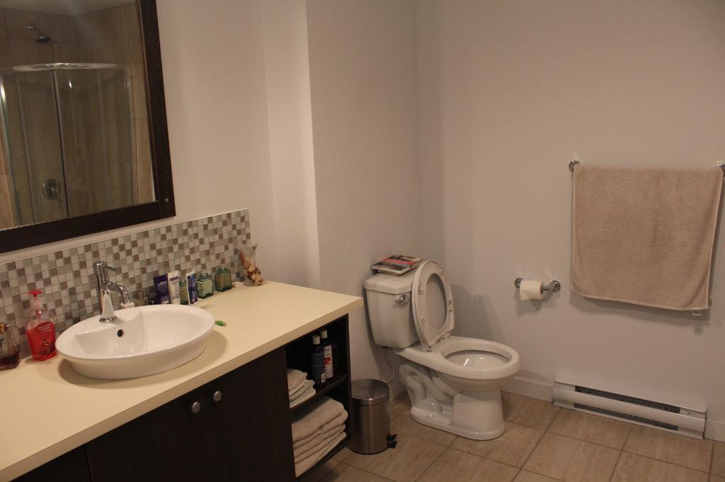 Beau Grand 4 1/2 Secteur Cartierville | 2949286