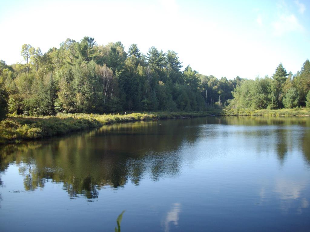 Terre à vendre de 46.5 acres Outaouais - Laurentide | 2949555