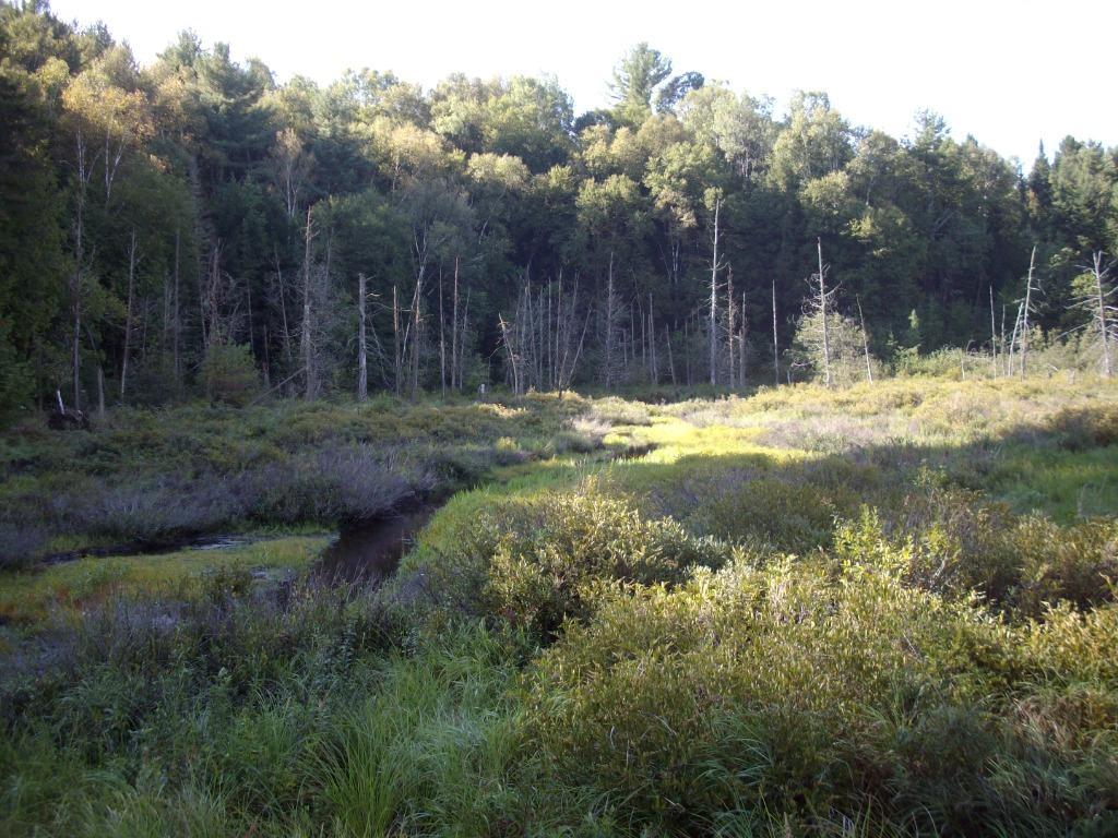 Terre à vendre de 46.5 acres Outaouais - Laurentide | 2949555