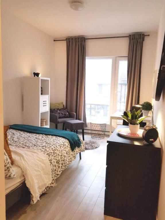 Studio - Montréal - $1,135 /mo | 2951848
