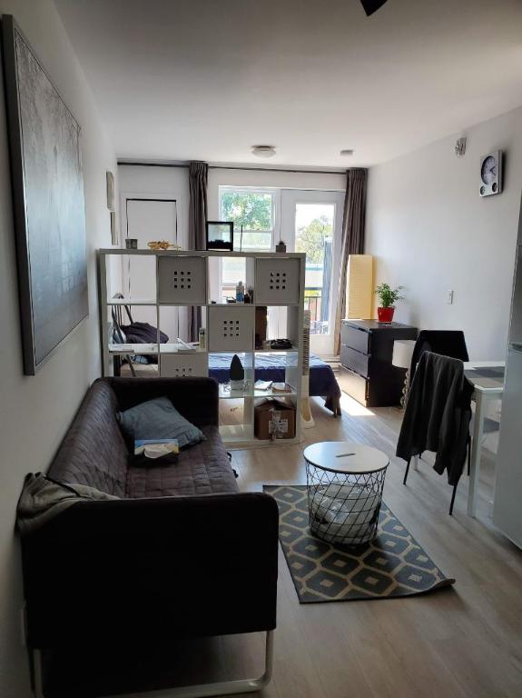 Studio - Montréal - $1,195 /mo | 2951849