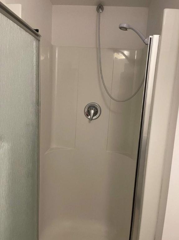 Studio - Montréal - $1,195 /mo | 2951849