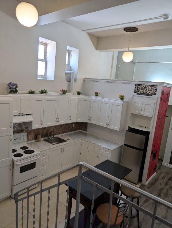 Magnifique Loft a loue 15 pieds de plafond | 2951864