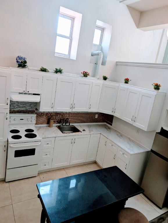 Magnifique Loft a loue 15 pieds de plafond | 2951864