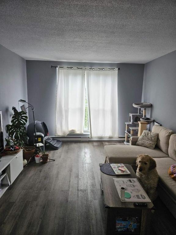 1 CH - 1 SDB - Gatineau - $930 /mo | 2953611