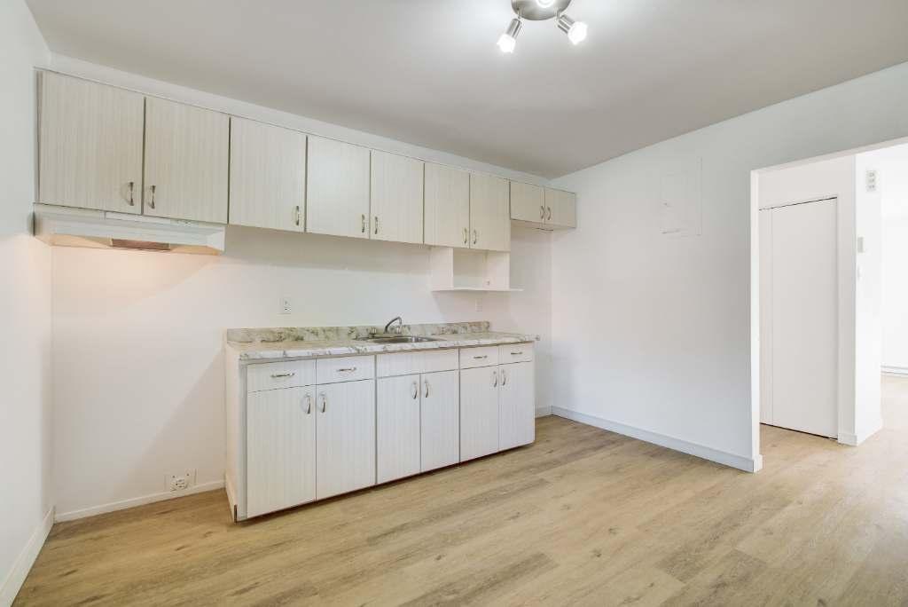 3 1/2 ou 4 1/2 rénovés, Ile-Perrot, Dispo maintenant ! 1100$ ou 1350$ | 2953620