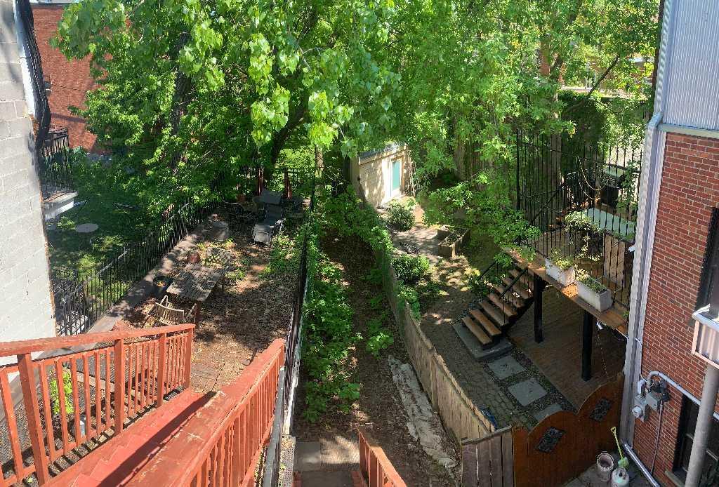 Petit 3 1/2 Neuf Mini Maison1étageToutInclus & Belle Cour Fermée avec Arbres matures CalmeSécurePrèsMétroPapineauWIFIPoeleFrigoLaveusePoss.Meubles Cha | 2955484