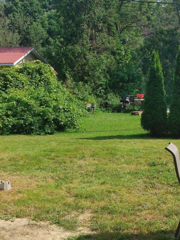 Mini maison dans un petit paradis | 2955495