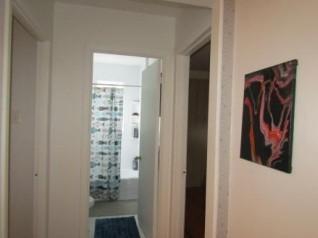 Libre imm Grand 4½ Rénové demi-sous sol 3plex @7 mn du Pont Jacques Cartier | 2957116
