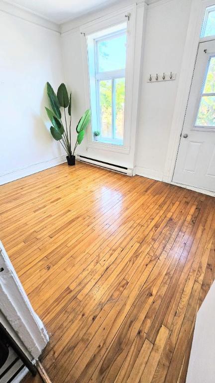 1 CH - 1 SDB - Montréal - $1,250 /mo | 2958789