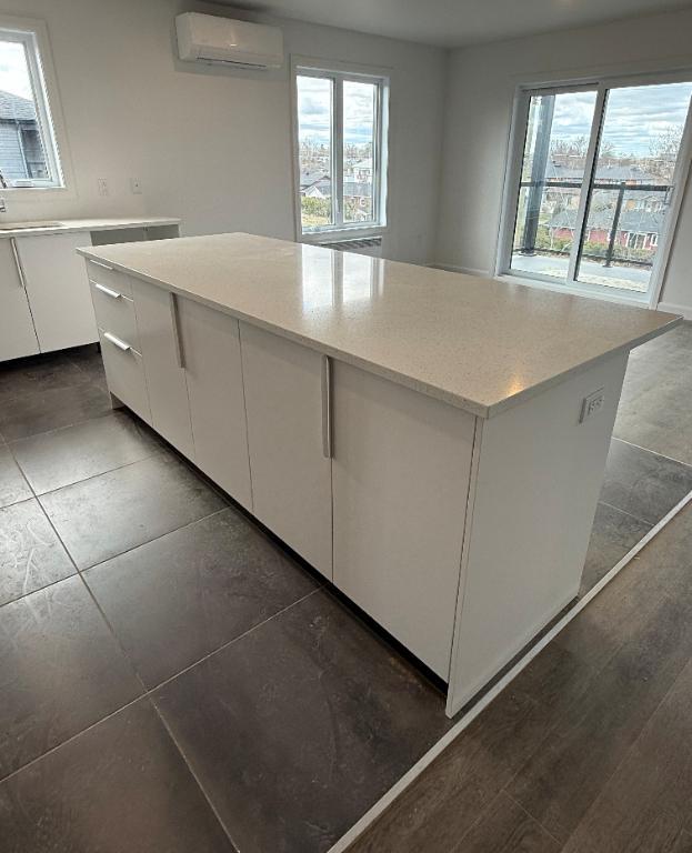 Magnifique logement 4 1/2 à louer - TRÈS GRAND | 2959119