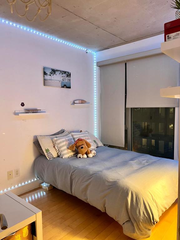 Appartement 3 CHB - Transfert de Bail à partir du 1er Octobre! Griffintown / Lease Transfert 3 Bdr Close to downtown | 2959320